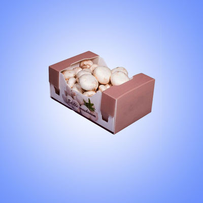L'uso al minuto ha ondulato le scatole dell'imballaggio di plastica 380x254x154mm